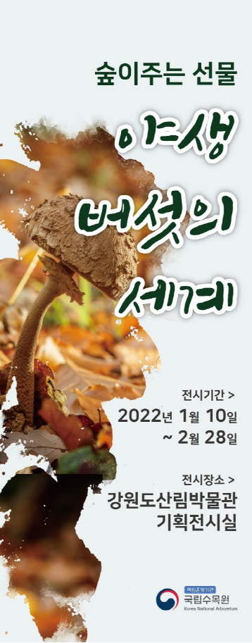 강원도 산림박물관 “야생버섯 전시회” 개최