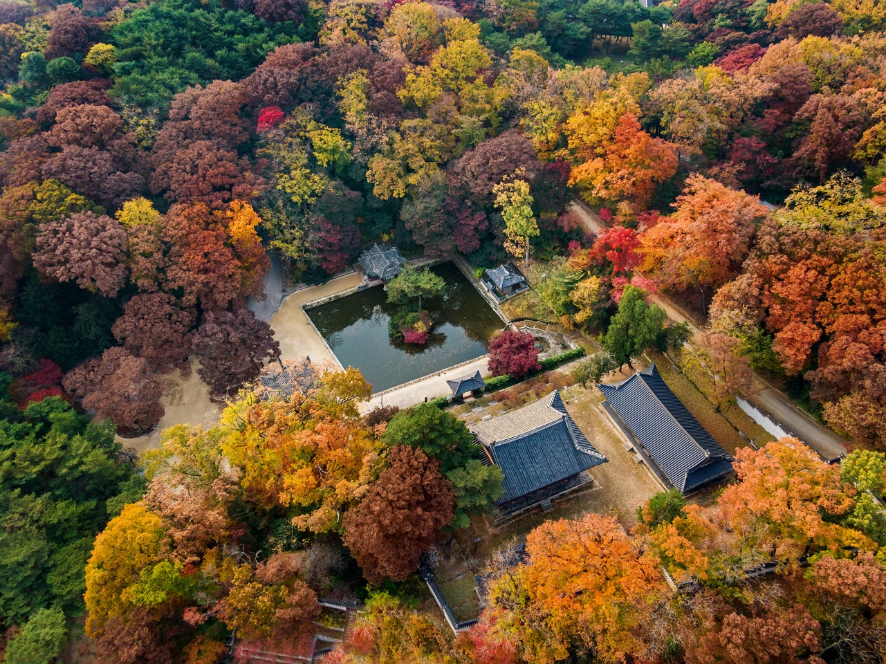 가을 단풍의 마지막 정취를 궁궐과 조선왕릉에서 즐겨보자
